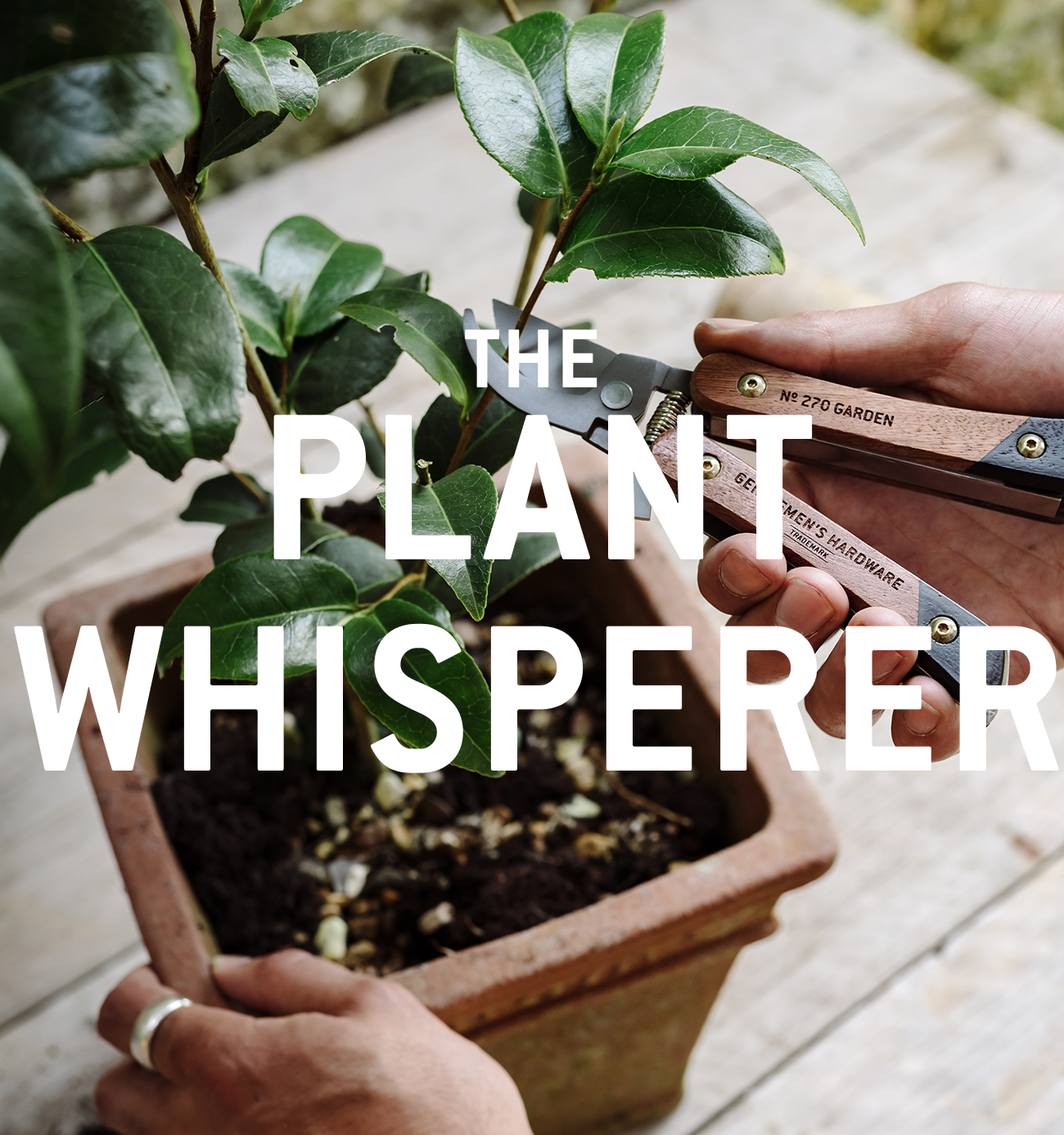 The Plant Whisperer – Gentlemen's Hardware