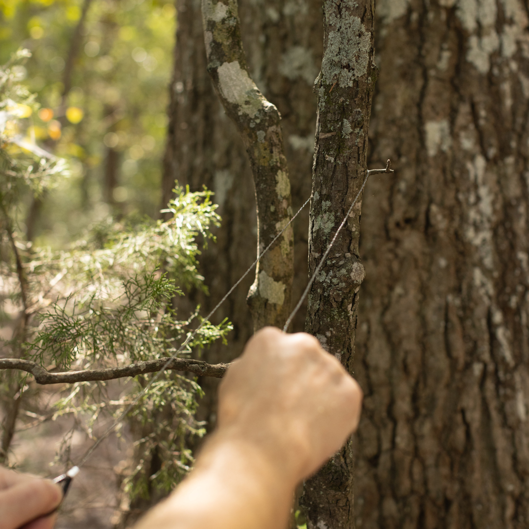 Using their Explorer Kit, a person cuts through a tree branch with the included wire saw while exploring a forested area—perfect for outdoor adventures in new terrain.