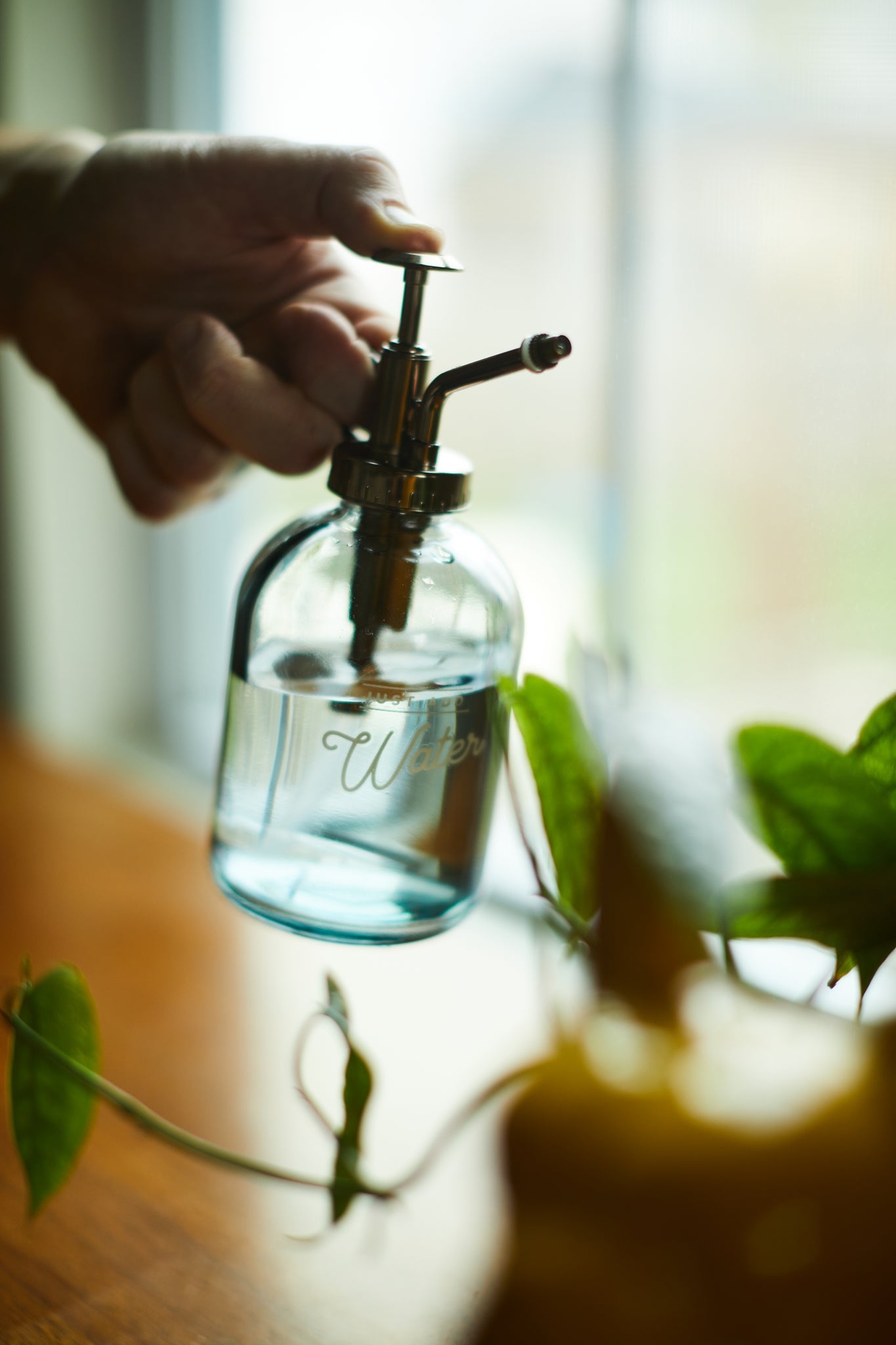 Plant mister in use.