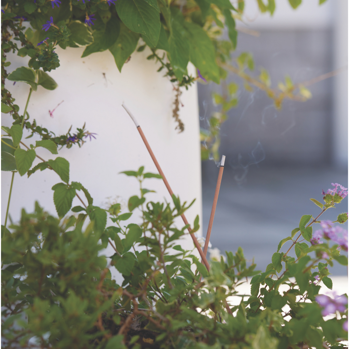 Garden Incense at corner of house