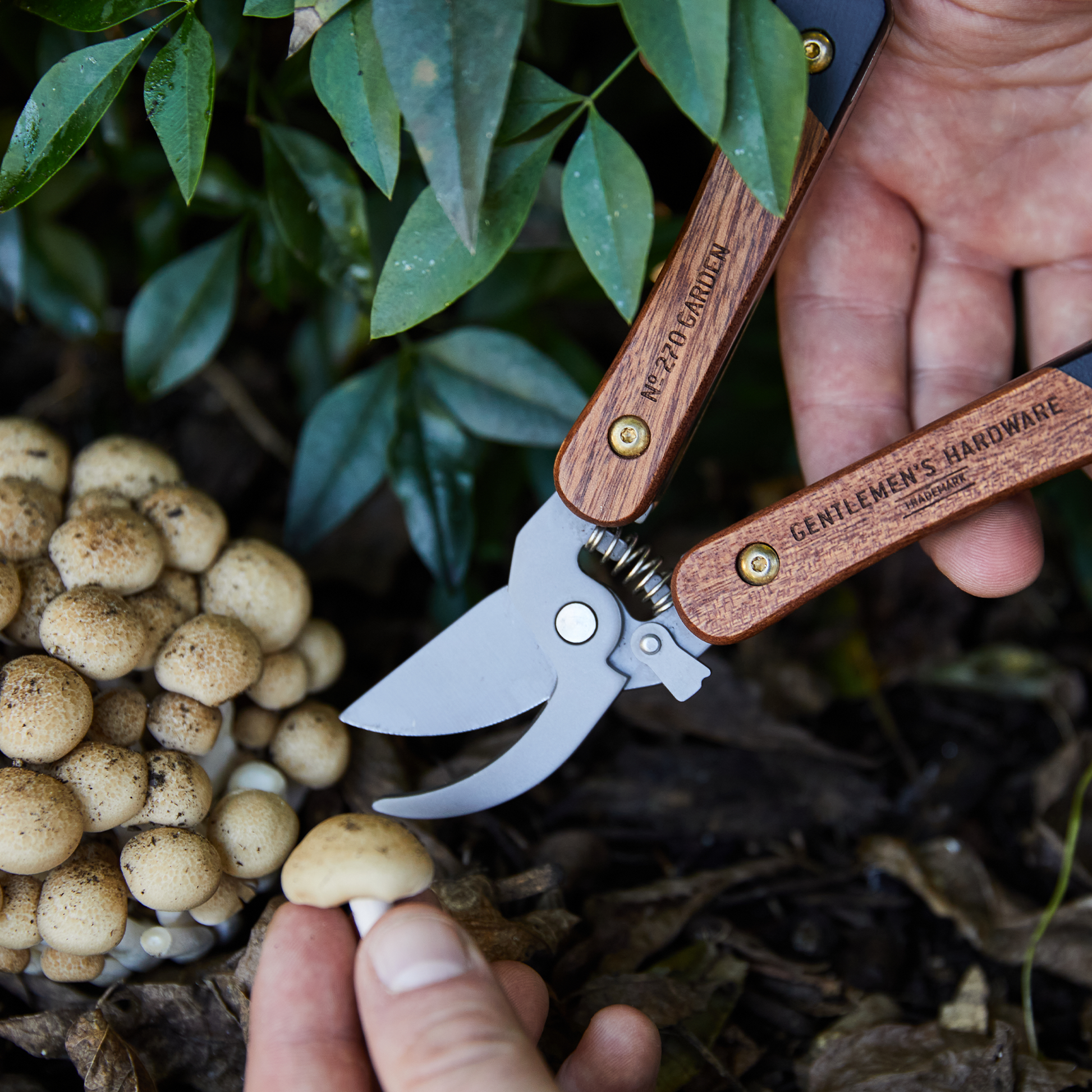 A hand uses the Garden Multi Tool to cut a mushroom from a cluster growing in soil, surrounded by green leaves.