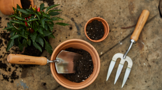 Spring Planting and Gardening Tools