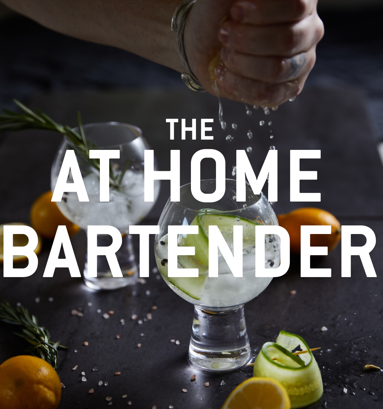 The At Home Bartender