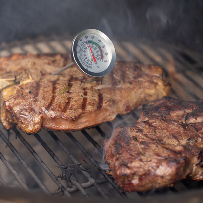 "BBQ Lovers Kit" Meat Tenderizer & Thermometer