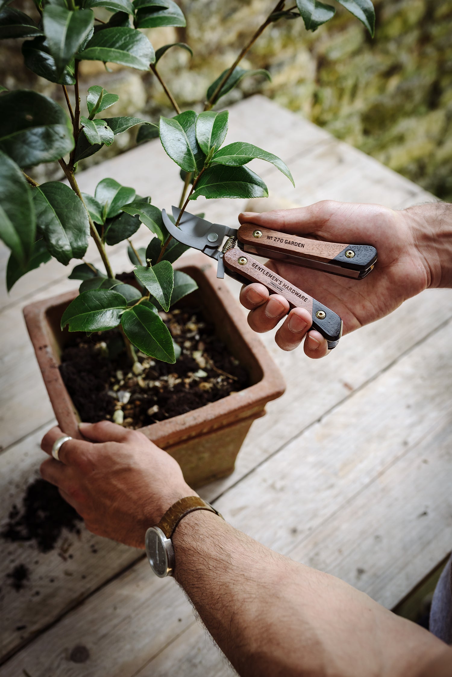 A person cutting a plant with a gardening tool