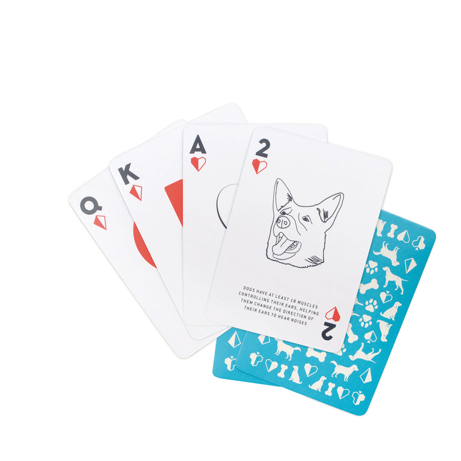 Dog Fact Playing Cards fanned on a white surface