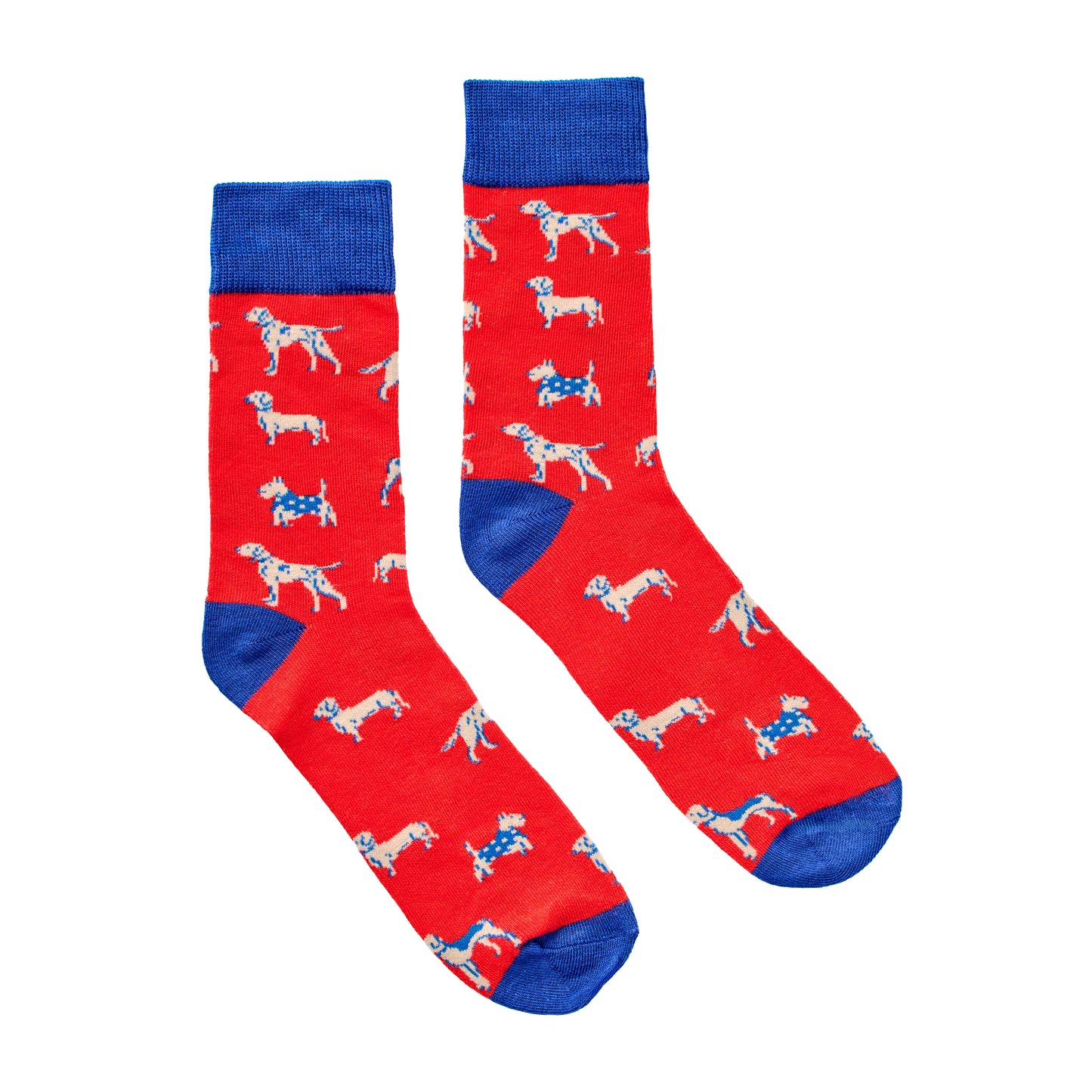 Socks in a Can DOGS Gentlemen's Hardware