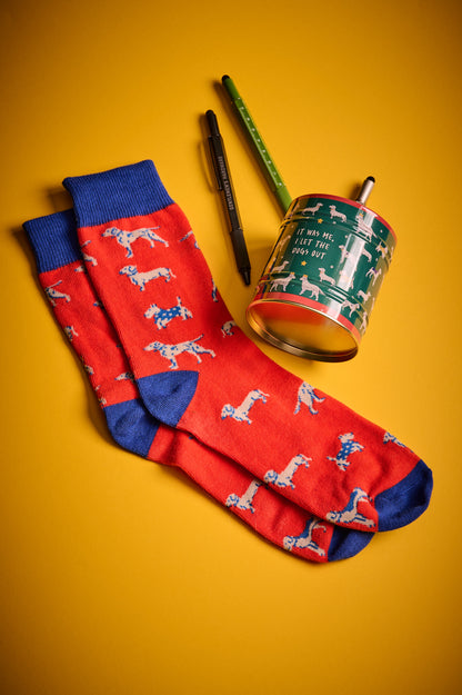Socks in a Can DOGS Gentlemen's Hardware