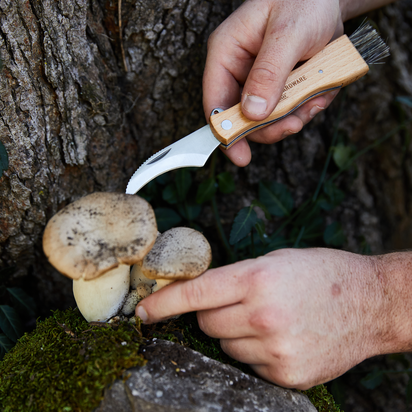 Foraging Knife