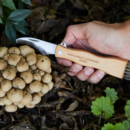 Foraging Knife