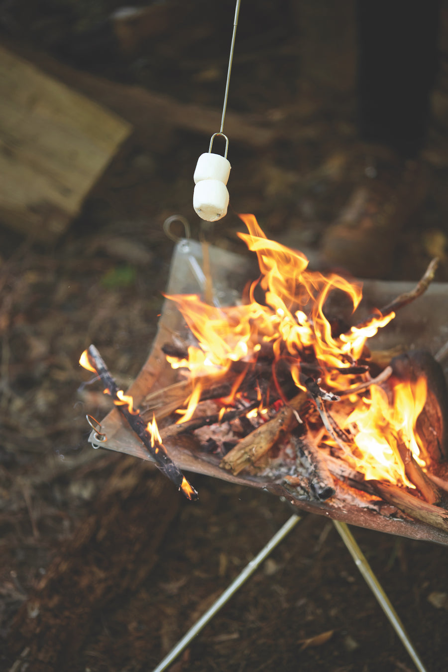 marshmallows being roasted over kindling in the Collapsible Fire Pit